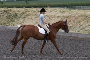 ISIS Dressage Challenge 2008